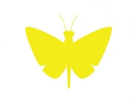 Vlinder sticker 3
