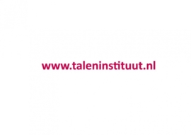 maatwerk autostickers - Taleninstituut Nederland