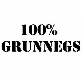 Strijkletters 100% grunnegs