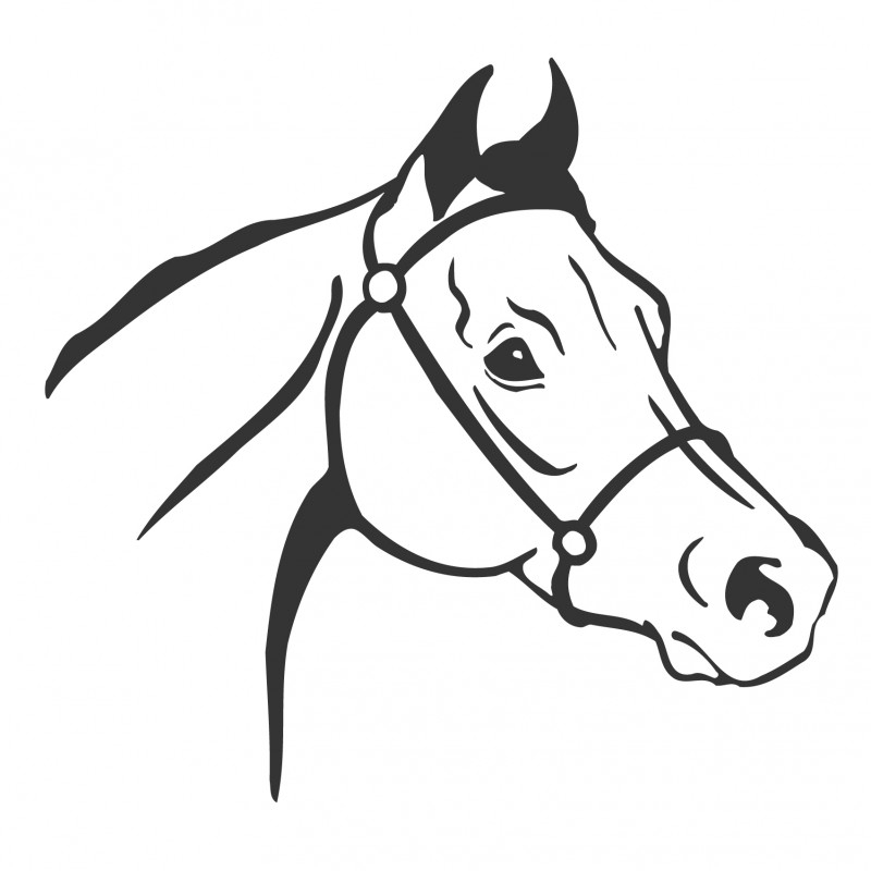wandsticker - Paard 4