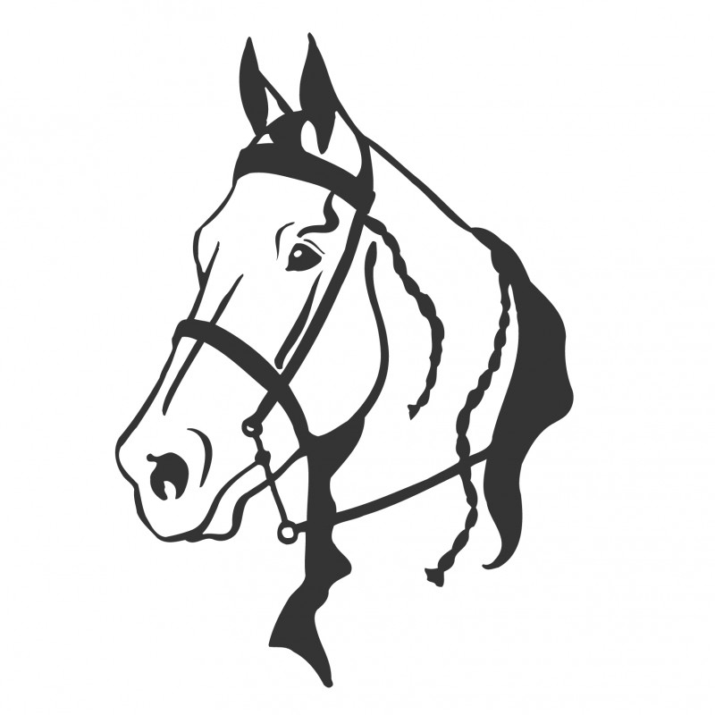 wandsticker - Paard 5