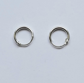 Kleine oorringetjes 8 x 1,2 mm zilver