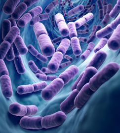  Wat is probiotica
