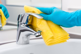 Sanitairreiniger