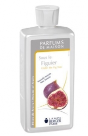 Sous le Figuier - Under the Fig Tree