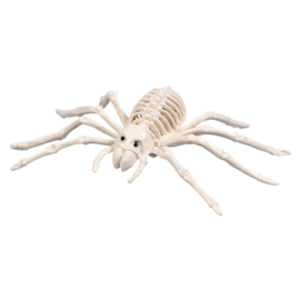 Spinnen skelet deco | Halloween 23 x 14 cm