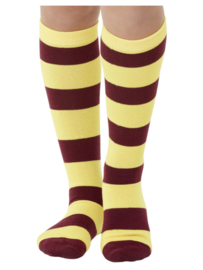 Harry Potter Sokken kind | stripy socks