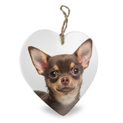 Chihuahua | Stenen deco hart