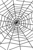 Spinneweb zwart met spinnen