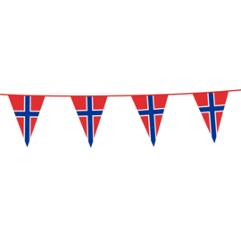Vlaggenlijn Noorwegen | 10 meter | 20x30cm