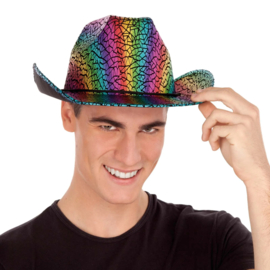 Regenboog Cowboy hoed  | Rainbow