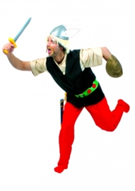 Asterix de gallier outfit | Thema historisch strip kostuum
