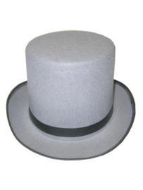 Hoge hoed grijs