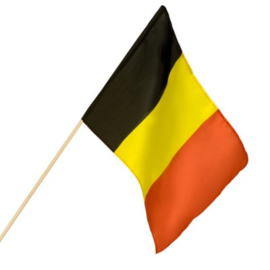 Zwaaivlag Belgie groot