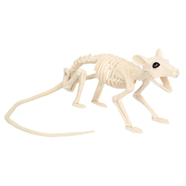 Rat skelet deco | Halloween 18 cm