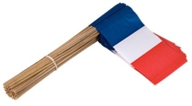 Wehende Flagge - Frankreich