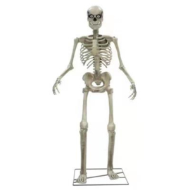 Sich bewegendes Skelett mit Licht und Ton | 250cm