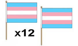 Transgender handvlaggetjes 12 stuks