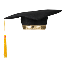 Geslaagd hoed | studenten | Postgraduate