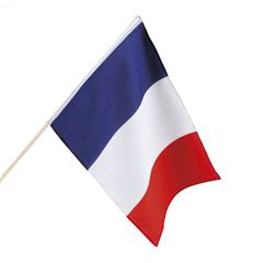 Wehende Flagge Frankreich groß