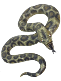 Python Slang 180cm