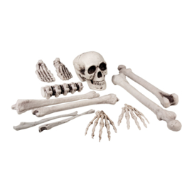 Skelet set | 12 stuks | Halloween