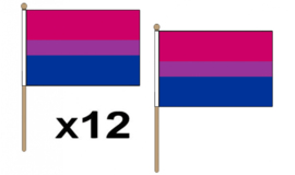 Be-pride handvlaggetjes 12 stuks
