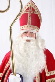 Sinterklaas baard en losse snor