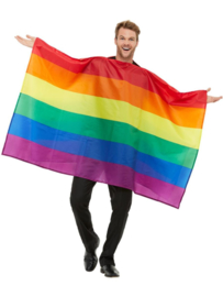 Vlag regenboog cape