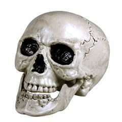 Skelet hoofd 21cm