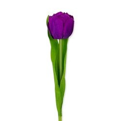 Hausvase - Namaste Tulpe lila |