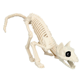 Katten skelet deco | Halloween 51cm
