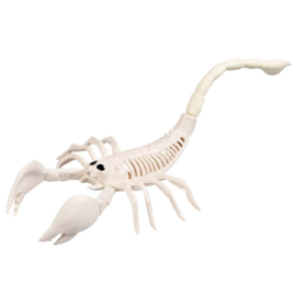Schorpioen skelet deco | Halloween 31cm