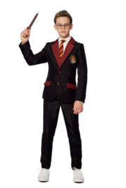 Kostuum Harry Potter kinderen | Gryffioendor