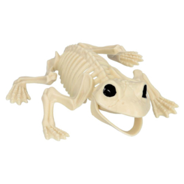 Kikker skelet deco | Halloween 17 cm