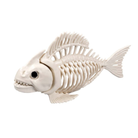 Vissen skelet deco | Halloween 24cm