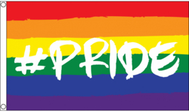 Gevelvlag Pride regenboog | pride | peace