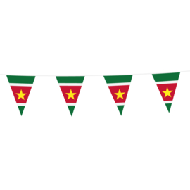 Vlaggenlijn Suriname | 10 meter | 20x30cm