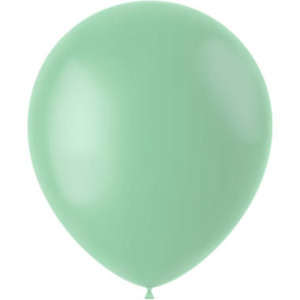 Luftballons Pulver Pistache Matte 33cm - 50 Stück