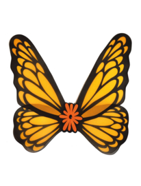 Vlinder Vleugels oranje