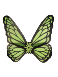 Schmetterlingsflügel grün