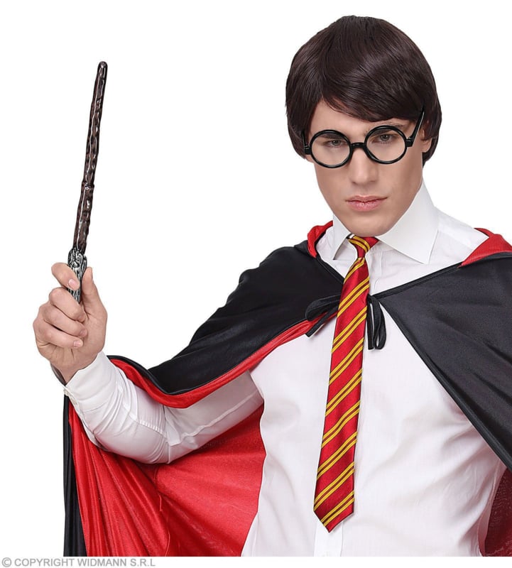 Aas verlies Pas op Verkleden als Harry Potter | Feestartikelen4u