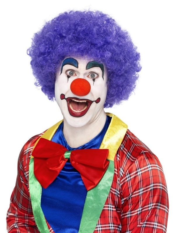 kloof controller Doornen Clownspruik paars | Pruiken | Goedkope Feestkleding | Versieringen |  Feestartikelen | Carnavalskostuums | Feestartikelen4u.nl