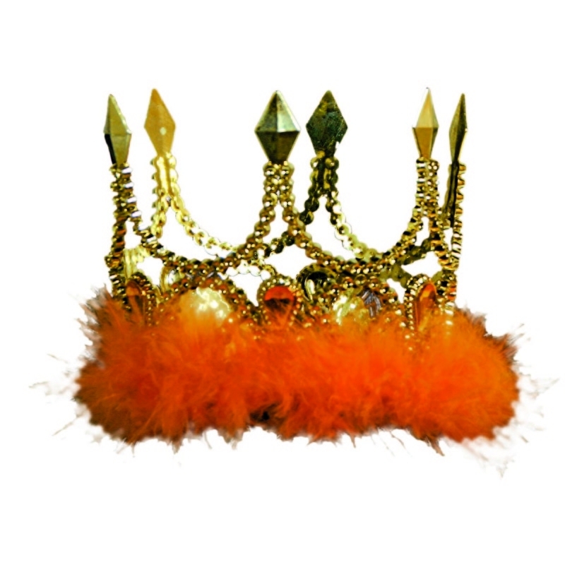 Kroontje oranje bont | Kronen Feestkleding | | Feestartikelen | Carnavalskostuums | Feestartikelen4u.nl
