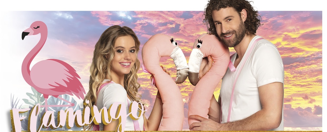 flamingo flamingo