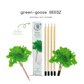 Green Goose: Seedz Bloeipotlood | 4 Stuks | Munt