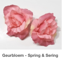 Roze Geurbloem Spring & Sering