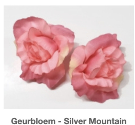 Smellies: Roze Geurbloem Silver Mountain