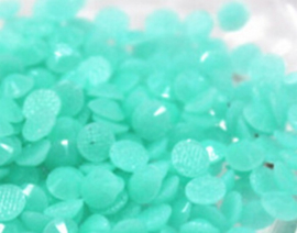 Hot Fix Resin Stones Mint Groen ss6 a 20 Gram