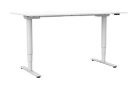 ED6120RR | ROL ERGO EasyDesk 650-professional, zit-sta bureau/werktafel met rond pootstel, 2 elektrische motoren, hoogteverstelling traploos 65-130 cm, slag 65 cm, bladmaat 120x80 cm (bxd) inclusief, hefvermogen 120 kg